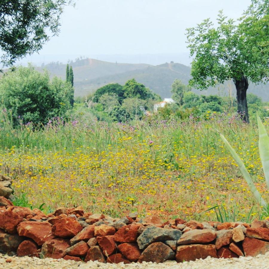 سيلفيس Quinta Das Piteiras-Turismo Rural المظهر الخارجي الصورة