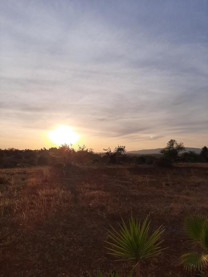 سيلفيس Quinta Das Piteiras-Turismo Rural المظهر الخارجي الصورة